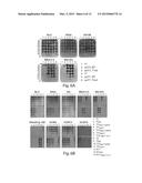 TUNING BACTERIOPHAGE HOST RANGE diagram and image