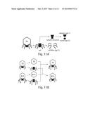 TUNING BACTERIOPHAGE HOST RANGE diagram and image