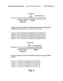 ENGINEERED ZINC FINGER PROTEINS TARGETING 5-ENOLPYRUVYL     SHIKIMATE-3-PHOSPHATE SYNTHASE GENES diagram and image