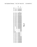 ENGINEERED ZINC FINGER PROTEINS TARGETING 5-ENOLPYRUVYL     SHIKIMATE-3-PHOSPHATE SYNTHASE GENES diagram and image