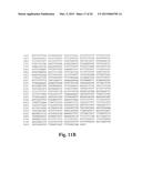 ENGINEERED ZINC FINGER PROTEINS TARGETING 5-ENOLPYRUVYL     SHIKIMATE-3-PHOSPHATE SYNTHASE GENES diagram and image