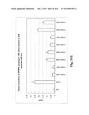 ENGINEERED ZINC FINGER PROTEINS TARGETING 5-ENOLPYRUVYL     SHIKIMATE-3-PHOSPHATE SYNTHASE GENES diagram and image