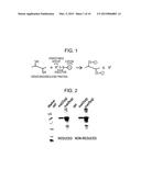 METHOD FOR PRODUCING REAGENT FOR ANTIBODY DETECTION AND USE THEREOF diagram and image