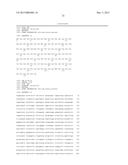 METHOD FOR PRODUCING REAGENT FOR ANTIBODY DETECTION AND USE THEREOF diagram and image