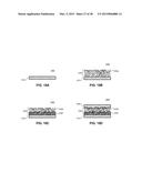 METHODS FOR PASSIVATING A CARBONIC NANOLAYER diagram and image