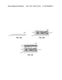 METHODS FOR PASSIVATING A CARBONIC NANOLAYER diagram and image