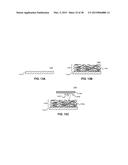 METHODS FOR PASSIVATING A CARBONIC NANOLAYER diagram and image