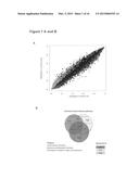 Epigenetic Signatures as Marker for Cardiomyopathies and Myocardial     Insufficiencies diagram and image