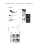 Epigenetic Signatures as Marker for Cardiomyopathies and Myocardial     Insufficiencies diagram and image