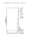 AROMATIC-CATIONIC PEPTIDES AND USES OF SAME diagram and image