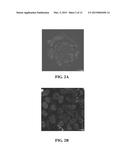 COMPOUND OF GLYCOSAMINOGLYCAN AND ITS PREPARATION METHOD AS WELL AS     APPLICATION diagram and image