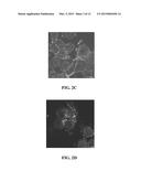 COMPOUND OF GLYCOSAMINOGLYCAN AND ITS PREPARATION METHOD AS WELL AS     APPLICATION diagram and image