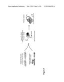 METHODS OF TREATING CANCER HAVING AN ACTIVE WNT/BETA-CATENIN PATHWAY diagram and image