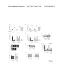 METHODS OF TREATING CANCER HAVING AN ACTIVE WNT/BETA-CATENIN PATHWAY diagram and image