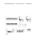 METHODS OF TREATING CANCER HAVING AN ACTIVE WNT/BETA-CATENIN PATHWAY diagram and image