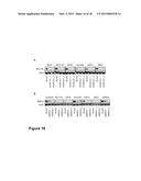 METHODS OF TREATING CANCER HAVING AN ACTIVE WNT/BETA-CATENIN PATHWAY diagram and image