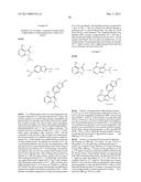 KINASE INHIBITOR POLYMORPHS diagram and image