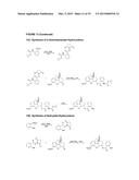 Benzoic Acid, Benzoic Acid Derivatives and Heteroaryl Carboxylic Acid     Conjugates of Hydrocodone, Prodrugs, Methods of Making and Uses Thereof diagram and image