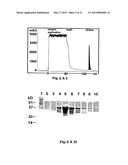 USE OF SOLUBLE FORMS OF CD83 AND NUCLEIC ACIDS ENCODING THEM FOR THE     TREATMENT OR PREVENTION OF DISEASES diagram and image