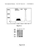 USE OF SOLUBLE FORMS OF CD83 AND NUCLEIC ACIDS ENCODING THEM FOR THE     TREATMENT OR PREVENTION OF DISEASES diagram and image