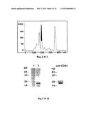 USE OF SOLUBLE FORMS OF CD83 AND NUCLEIC ACIDS ENCODING THEM FOR THE     TREATMENT OR PREVENTION OF DISEASES diagram and image