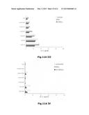 USE OF SOLUBLE FORMS OF CD83 AND NUCLEIC ACIDS ENCODING THEM FOR THE     TREATMENT OR PREVENTION OF DISEASES diagram and image