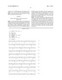 USE OF SOLUBLE FORMS OF CD83 AND NUCLEIC ACIDS ENCODING THEM FOR THE     TREATMENT OR PREVENTION OF DISEASES diagram and image