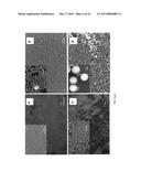 SURFACES HAVING NANOPARTICULATE LAYERS AND ASSEMBLY AND USE THEREOF diagram and image