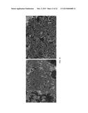 SURFACES HAVING NANOPARTICULATE LAYERS AND ASSEMBLY AND USE THEREOF diagram and image