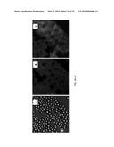 SURFACES HAVING NANOPARTICULATE LAYERS AND ASSEMBLY AND USE THEREOF diagram and image