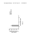 COMPOSITION FOR PROPHYLAXIS OR TREATMENT OF VASCULAR OR CARDIAC VALVULAR     CALCIFICATION COMPRISING DIPEPTIDYL PEPTIDASE-4 INHIBITOR diagram and image