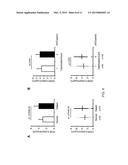 COMPOSITION FOR PROPHYLAXIS OR TREATMENT OF VASCULAR OR CARDIAC VALVULAR     CALCIFICATION COMPRISING DIPEPTIDYL PEPTIDASE-4 INHIBITOR diagram and image