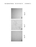 METAL-MEDIATED REVERSIBLE SELF-ASSEMBLY OF CARBON NANOTUBES diagram and image