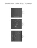 METAL-MEDIATED REVERSIBLE SELF-ASSEMBLY OF CARBON NANOTUBES diagram and image