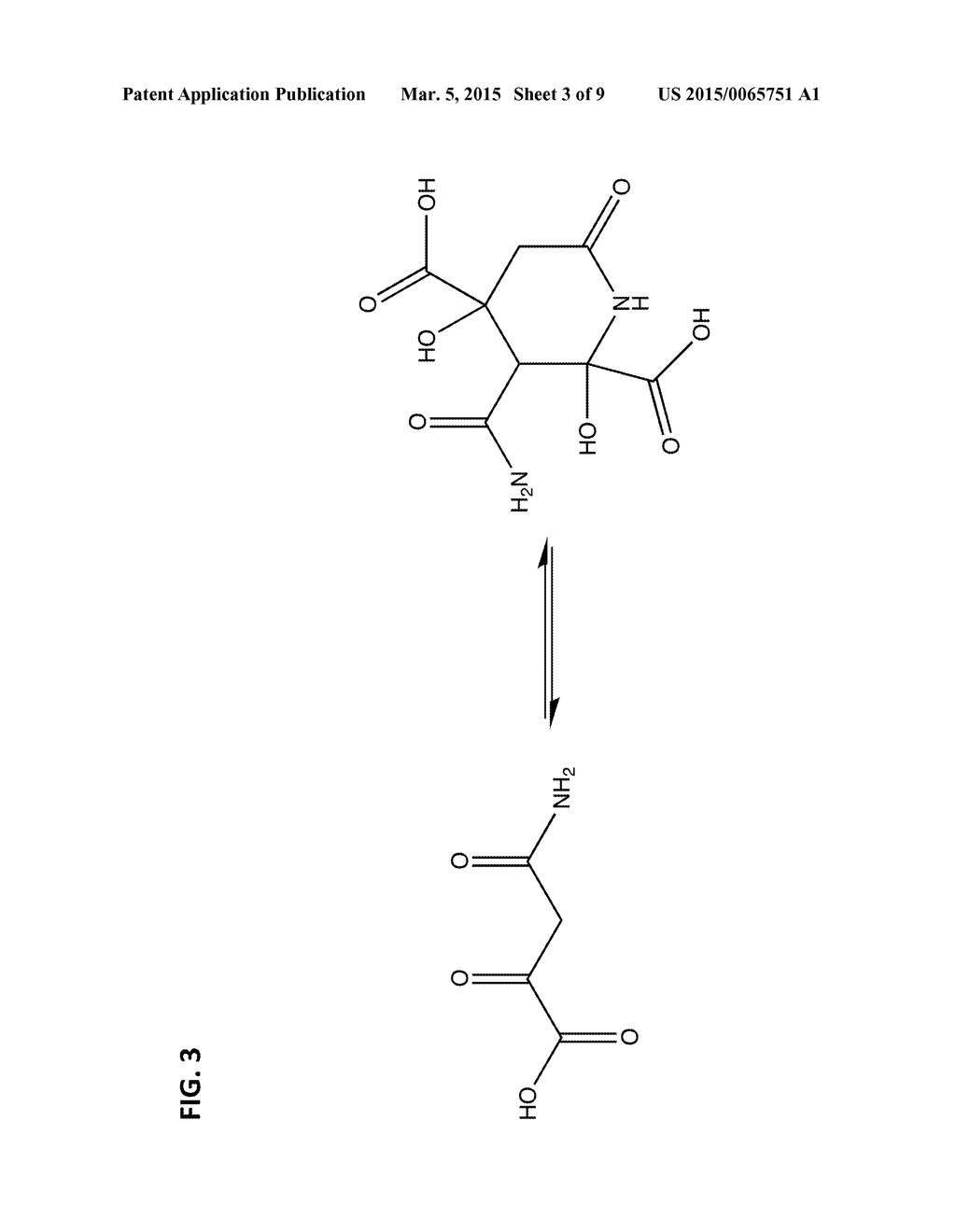 Preparation of 4-Amino-2,4-Dioxobutanoic Acid - diagram, schematic, and image 04