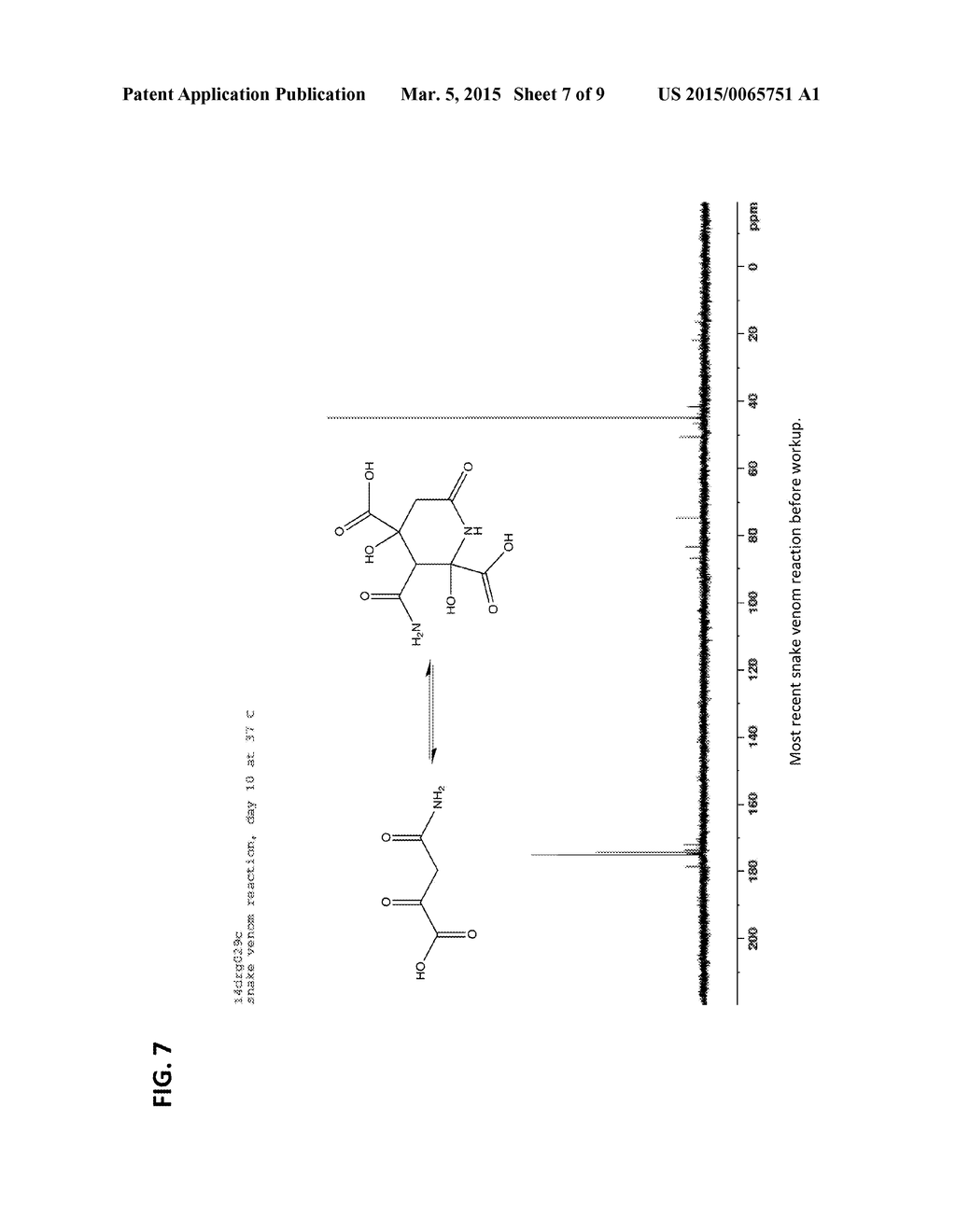 Preparation of 4-Amino-2,4-Dioxobutanoic Acid - diagram, schematic, and image 08