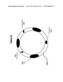 Mobile front-end system for comprehensive cardiac diagnosis diagram and image