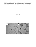 CORE-SATELLITE NANOCOMPOSITES FOR MRI AND PHOTOTHERMAL THERAPY diagram and image