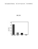 CORE-SATELLITE NANOCOMPOSITES FOR MRI AND PHOTOTHERMAL THERAPY diagram and image