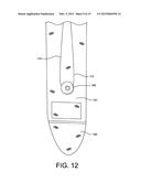 Compression Integument diagram and image