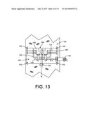 Compression Integument diagram and image