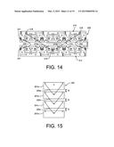 Compression Integument diagram and image