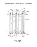 Compression Integument diagram and image