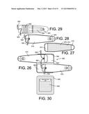 Compression Integument diagram and image