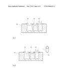 METHOD FOR PRODUCING DENTURES diagram and image