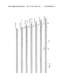 Method for drawing glass strips diagram and image