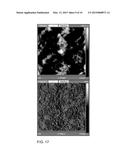 METHOD FOR PREPARING A MEMBRANE FROM FIBRIL CELLULOSE AND FIBRIL CELLULOSE     MEMBRANE diagram and image