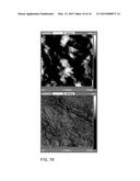 METHOD FOR PREPARING A MEMBRANE FROM FIBRIL CELLULOSE AND FIBRIL CELLULOSE     MEMBRANE diagram and image