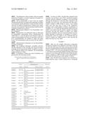 MANUFACTURING METHODS FOR A POROUS FLUORORESIN COMPOSITE diagram and image