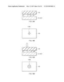 SENSOR DEVICE, METHOD OF MANUFACTURING SENSOR DEVICE, DISPLAY APPARATUS,     AND INPUT APPARATUS diagram and image